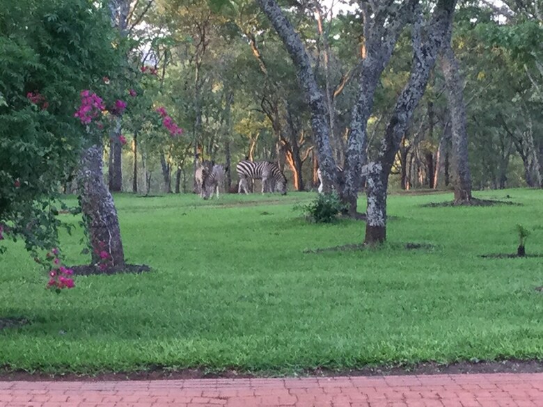 Posada Manna Resorts