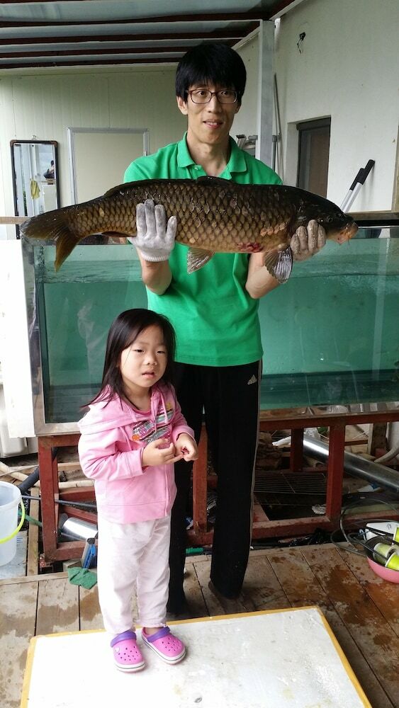 Noilriver Pension