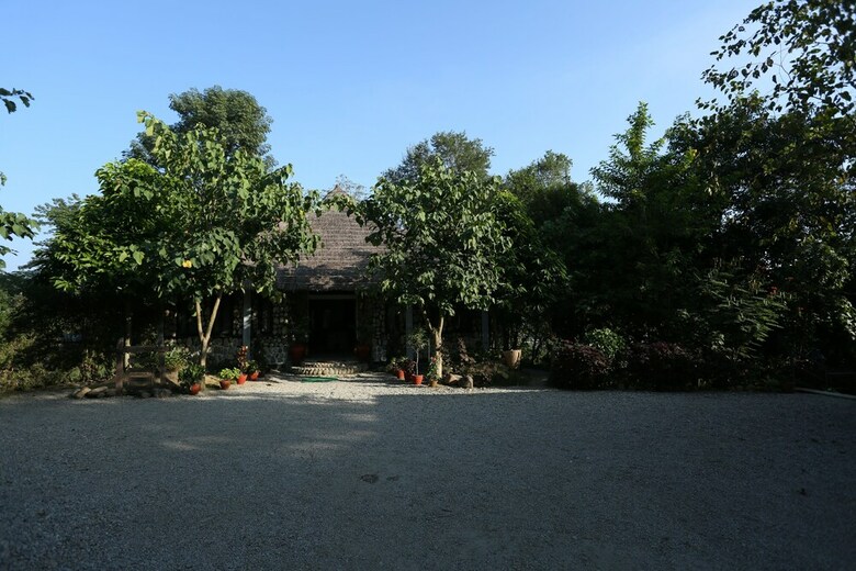 Jungle Villa Resort
