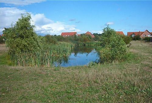 Hostal Landgasthof Drei Linden