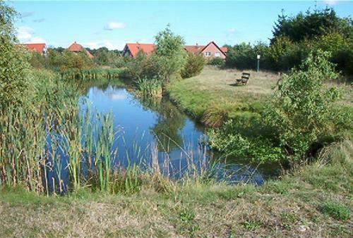 Hostal Landgasthof Drei Linden