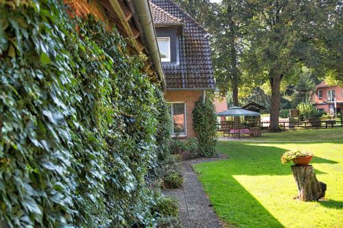 Hostal Landgasthof Drei Linden