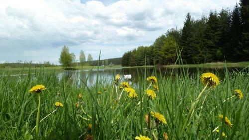 Apartamento Ferienwohnung Bradsch