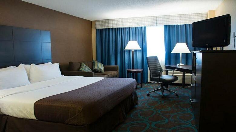 Hotel Holiday Inn Niagara Falls Scenic Downtown