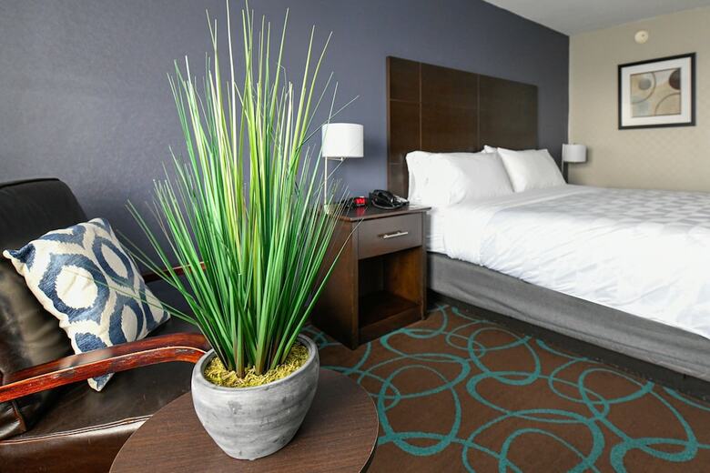 Hotel Holiday Inn Niagara Falls Scenic Downtown