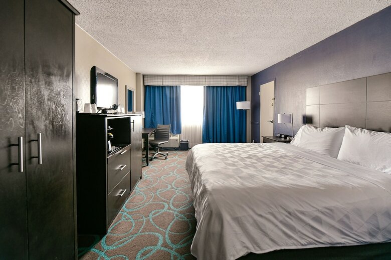 Hotel Holiday Inn Niagara Falls Scenic Downtown