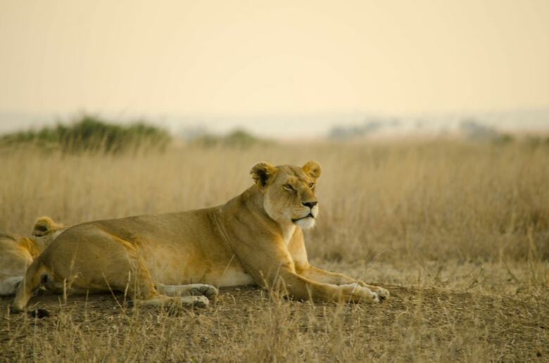 Mawe Luxury Tented Camp