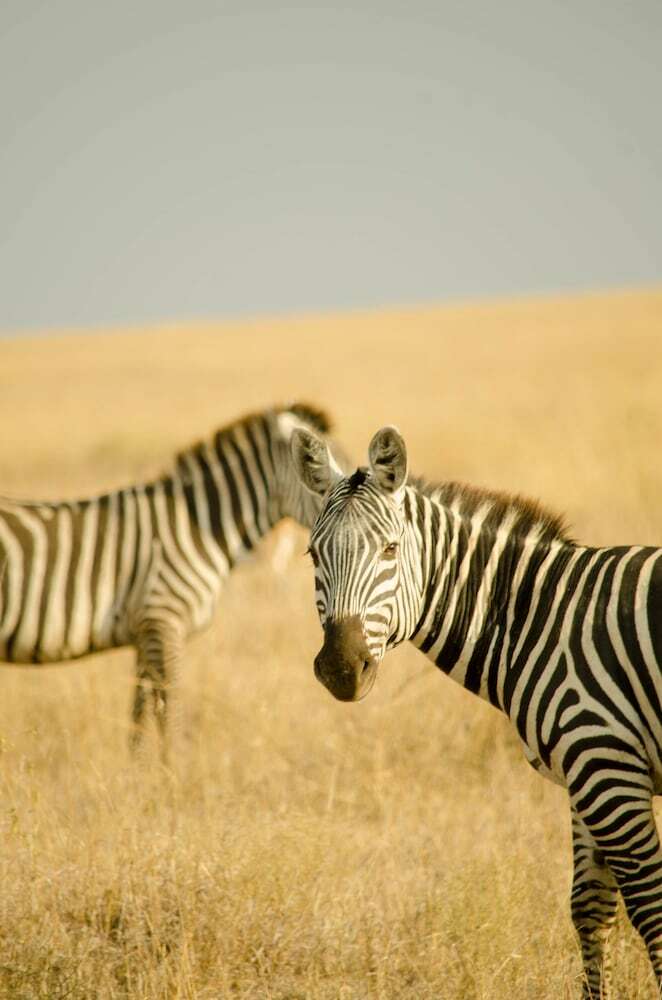 Mawe Luxury Tented Camp