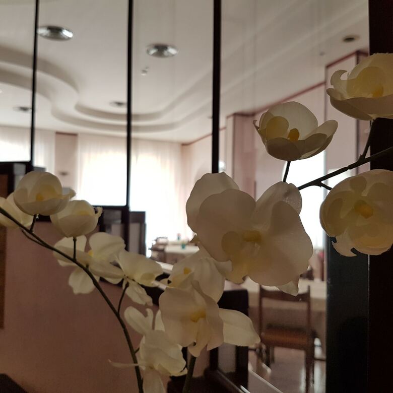 Posada Hotel Ceccarini 9