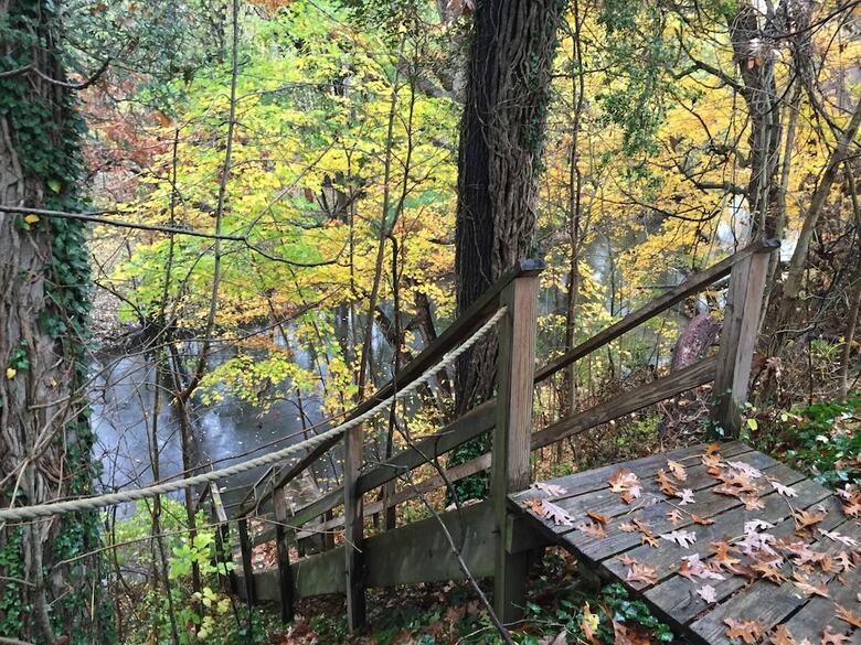Goldberry Woods Bed & Breakfast-microfarm-cottages