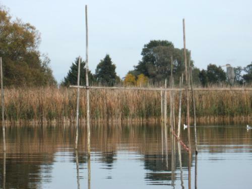 Ferienwohnung Am Beetzsee