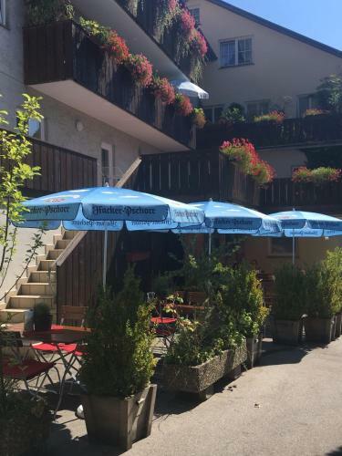 Hotel Gasthof Humplbr�u