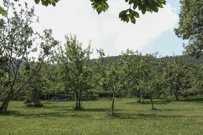 Apartamentos Casa In�s