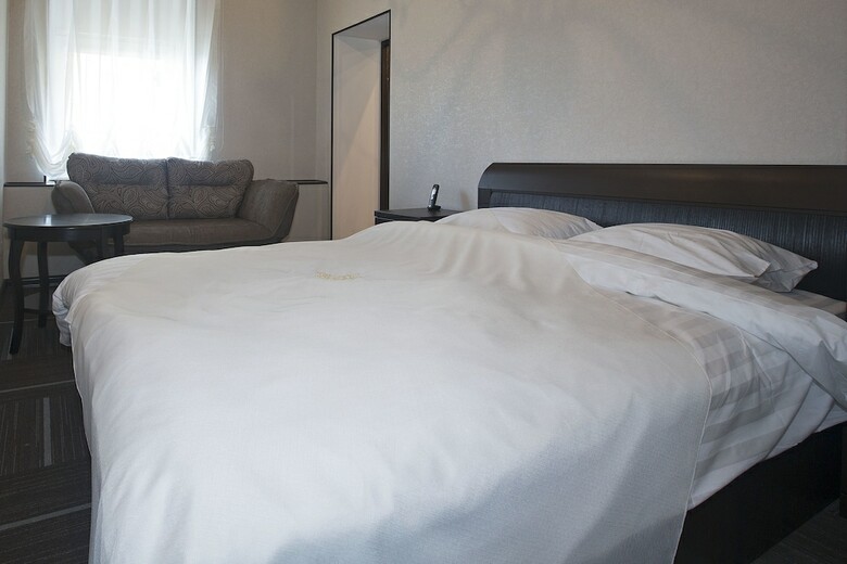 D'hotel Tverskaya