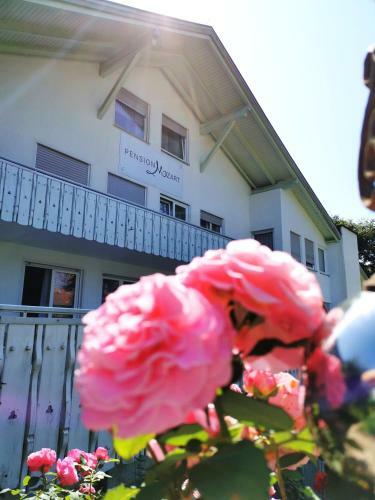 Hotel Pension Mozart