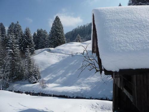 Hostal G�stehaus Schmid