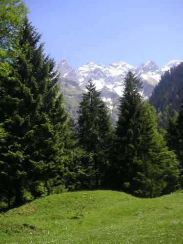 Hostal G�stehaus Schmid