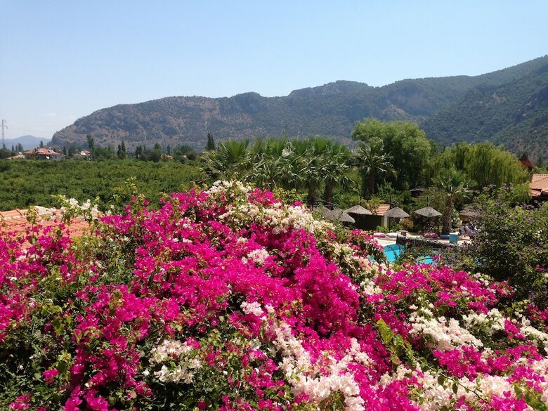 Hotel Bahaus Resort