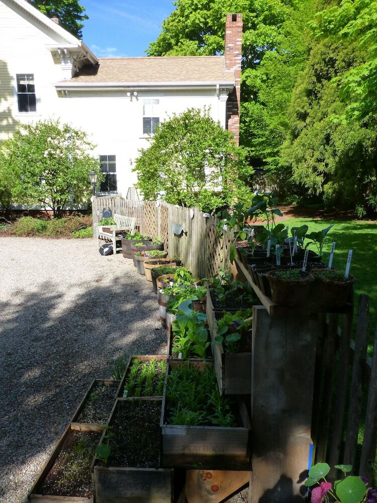 Bluefish Bed & Breakfast