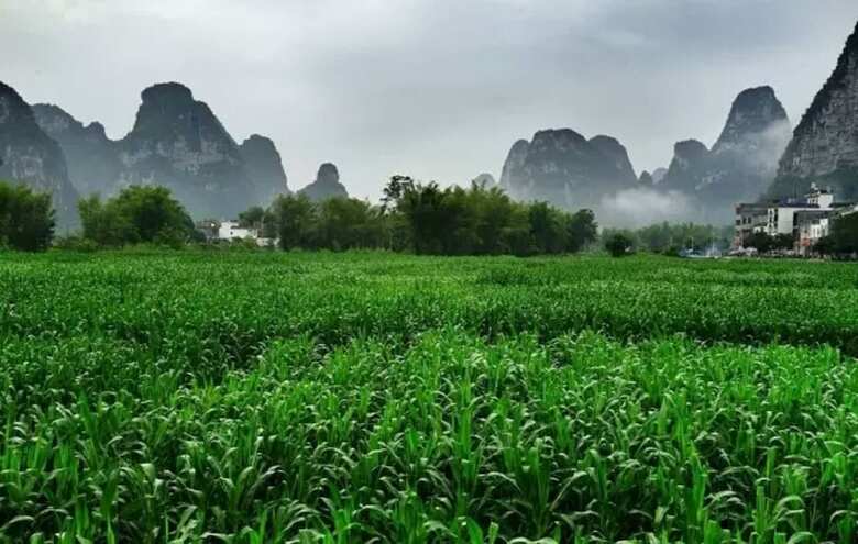 Hotel Mingshi Red Bean Restaurant Homestay