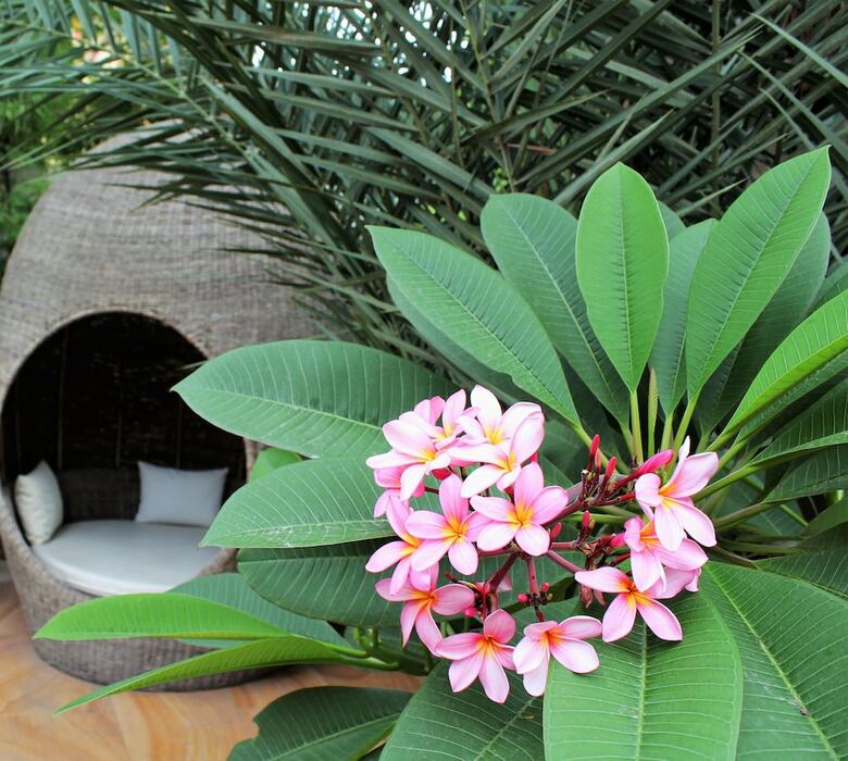 Palace Gate Hotel & Resort