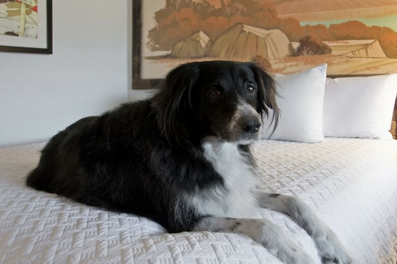 Motel Expedition Lodge