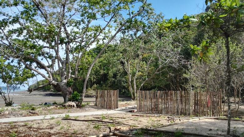 Tropical Eco Camping