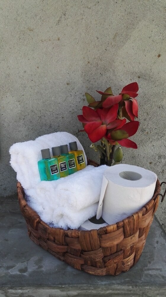 Tropical Eco Camping