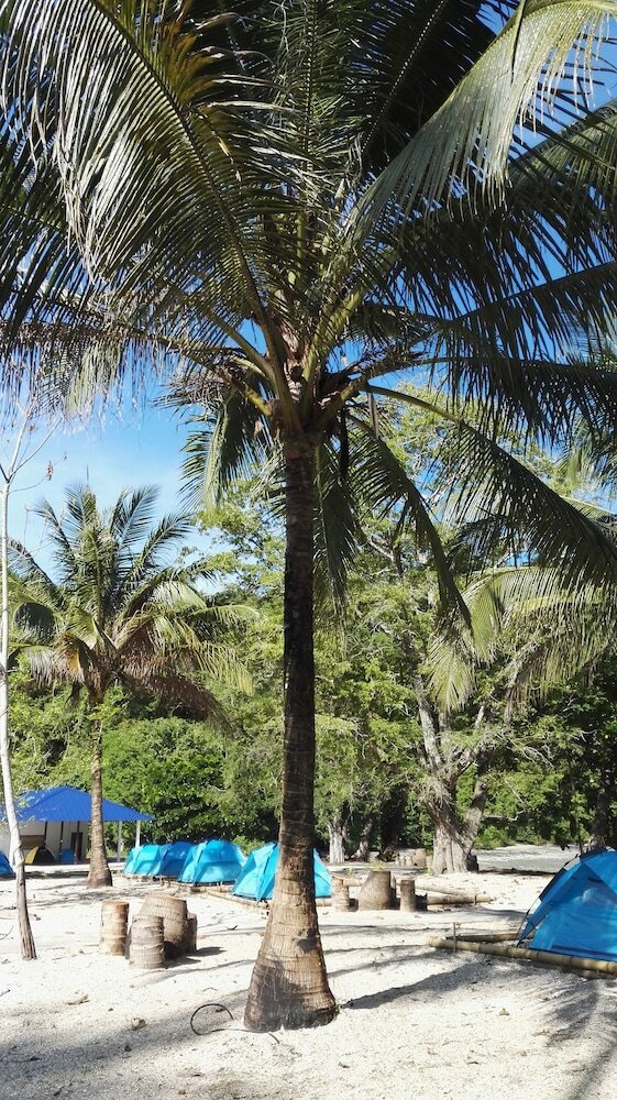 Tropical Eco Camping