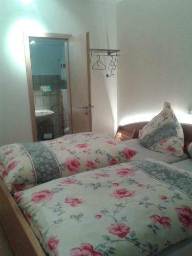 Hostal Pension Und Ferienwohnungen Schweinsberg