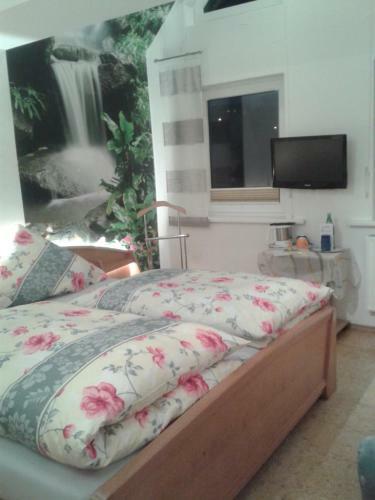 Hostal Pension Und Ferienwohnungen Schweinsberg