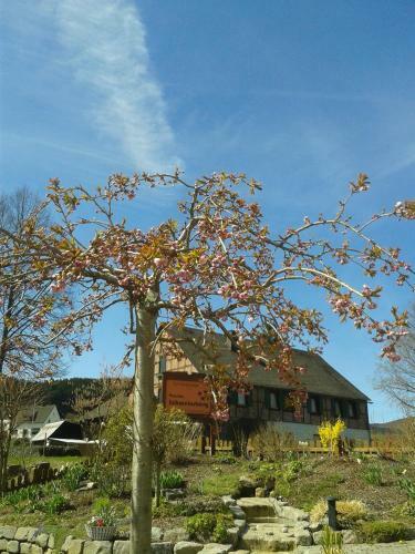 Hostal Pension Und Ferienwohnungen Schweinsberg