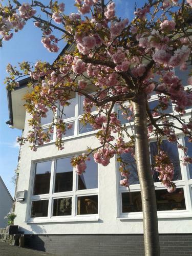 Hostal Pension Und Ferienwohnungen Schweinsberg