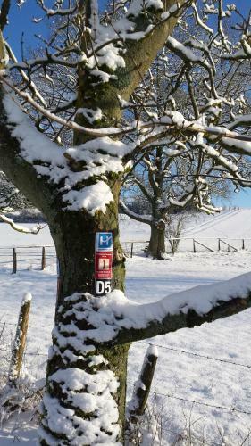 Hostal Landgasthof Zum Adler