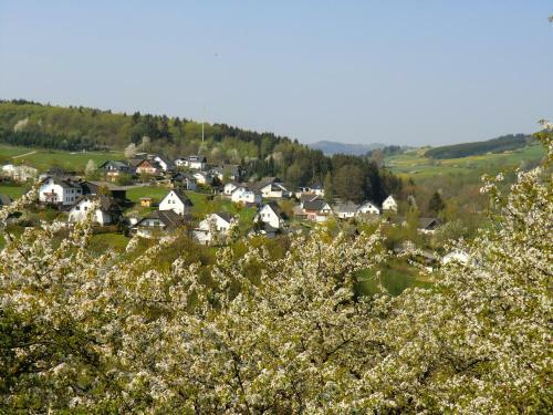 Hostal Landgasthof Zum Adler