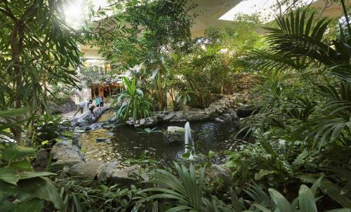 Center Parcs Hotel Sauerland