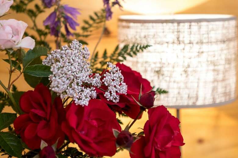 Bed & Breakfast Equs Posada De Campo