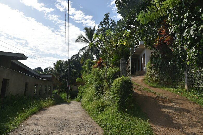 Hotel Bird's House