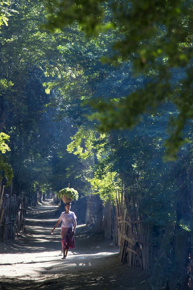 Anawrahta - Heritage Line