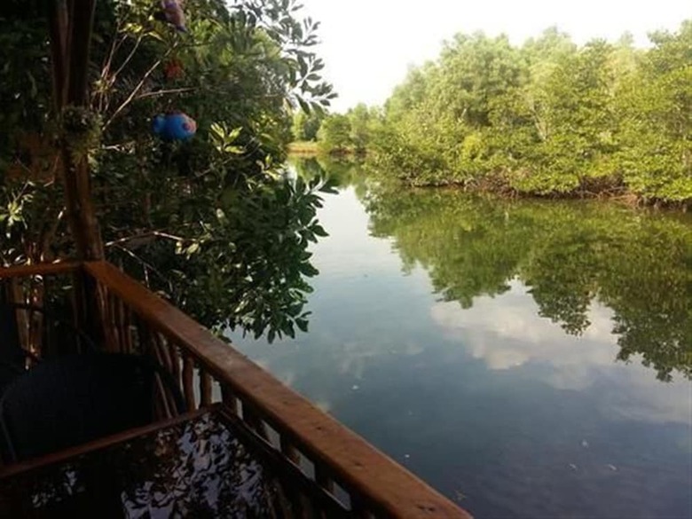 Posada Mangroves & More