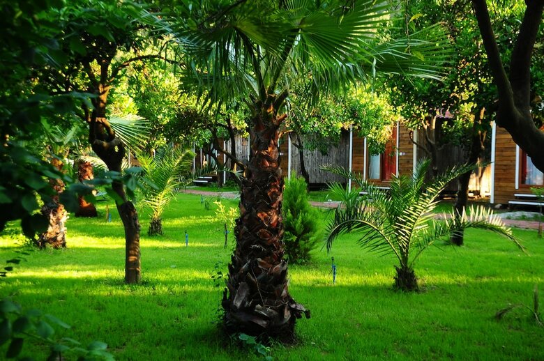 Hotel Likya Evleri Olympos - Adults Only