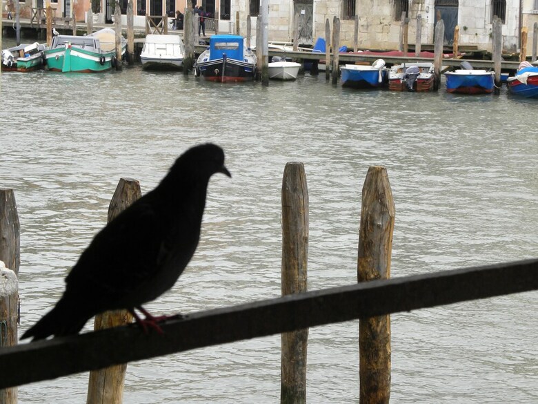Apartamento La Felice Canal Grande