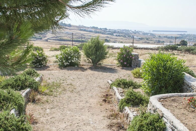 Apartamentos Elysium Paros