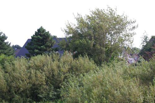 Apartamento Haus Deichfried