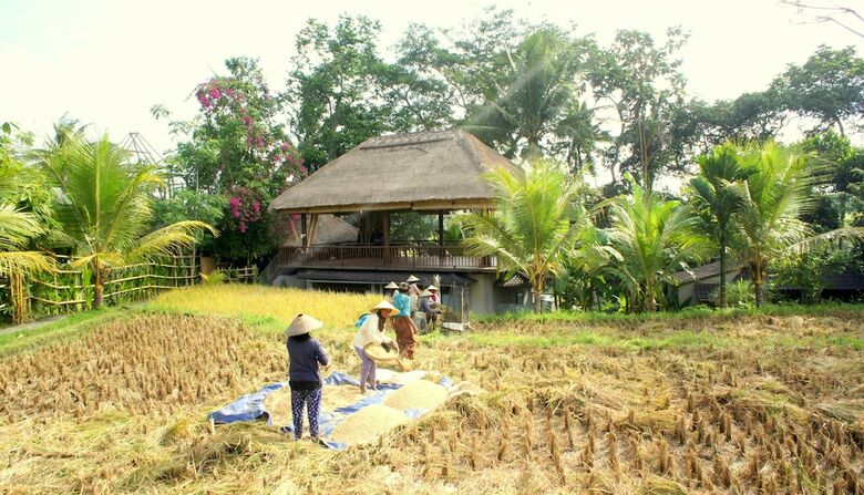 Hotel Prashanti Ubud