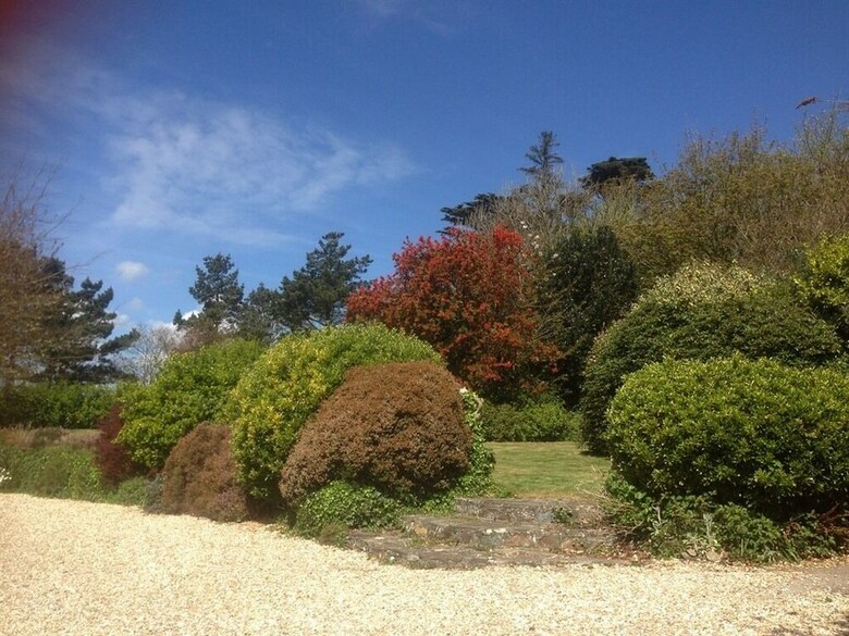 Bed & Breakfast Monterey House