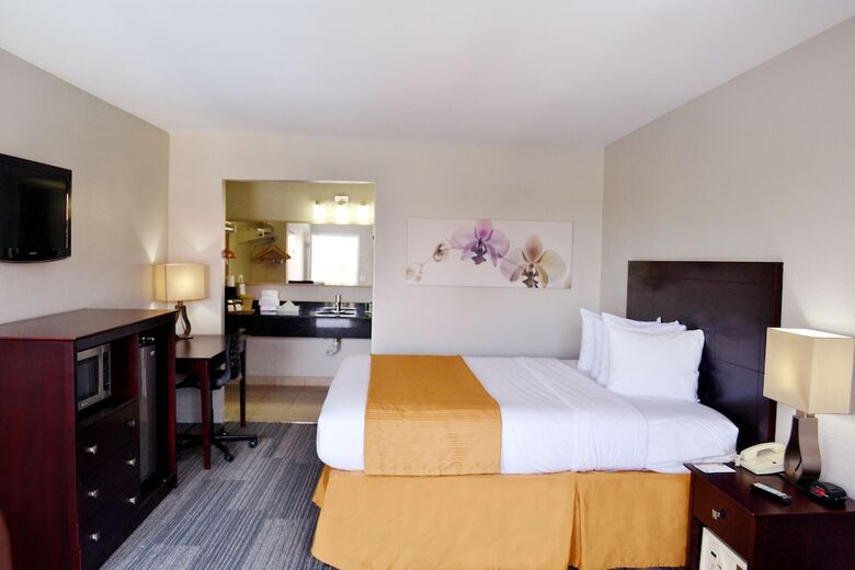 Hotel Quality Inn & Suites By The Parks