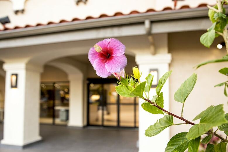Hotel Quality Inn & Suites By The Parks