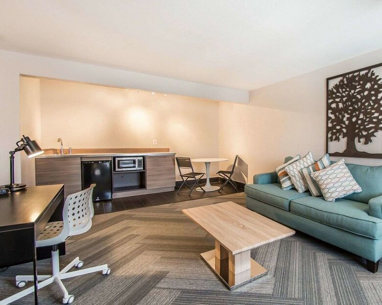 Hotel Quality Inn & Suites By The Parks