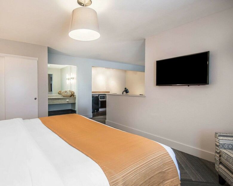 Hotel Quality Inn & Suites By The Parks